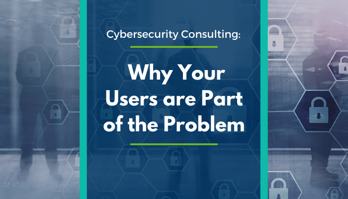 Cybersecurity Consulting