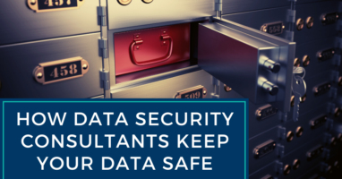 Data Security Consultants