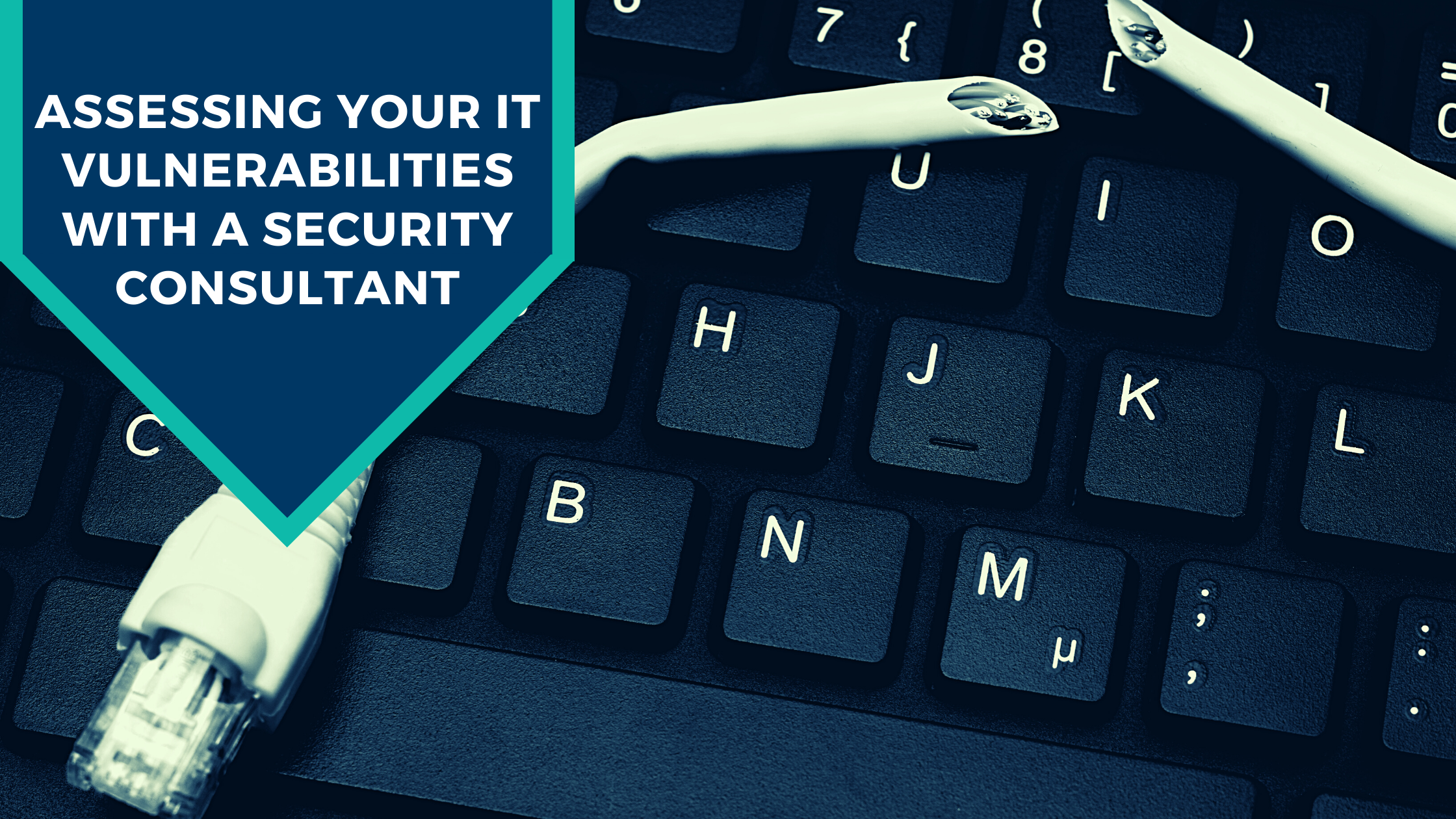 A Security Consultant Can Help You Assess Your IT Vulnerabilities