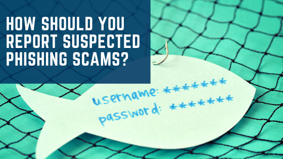 Report phishing scams