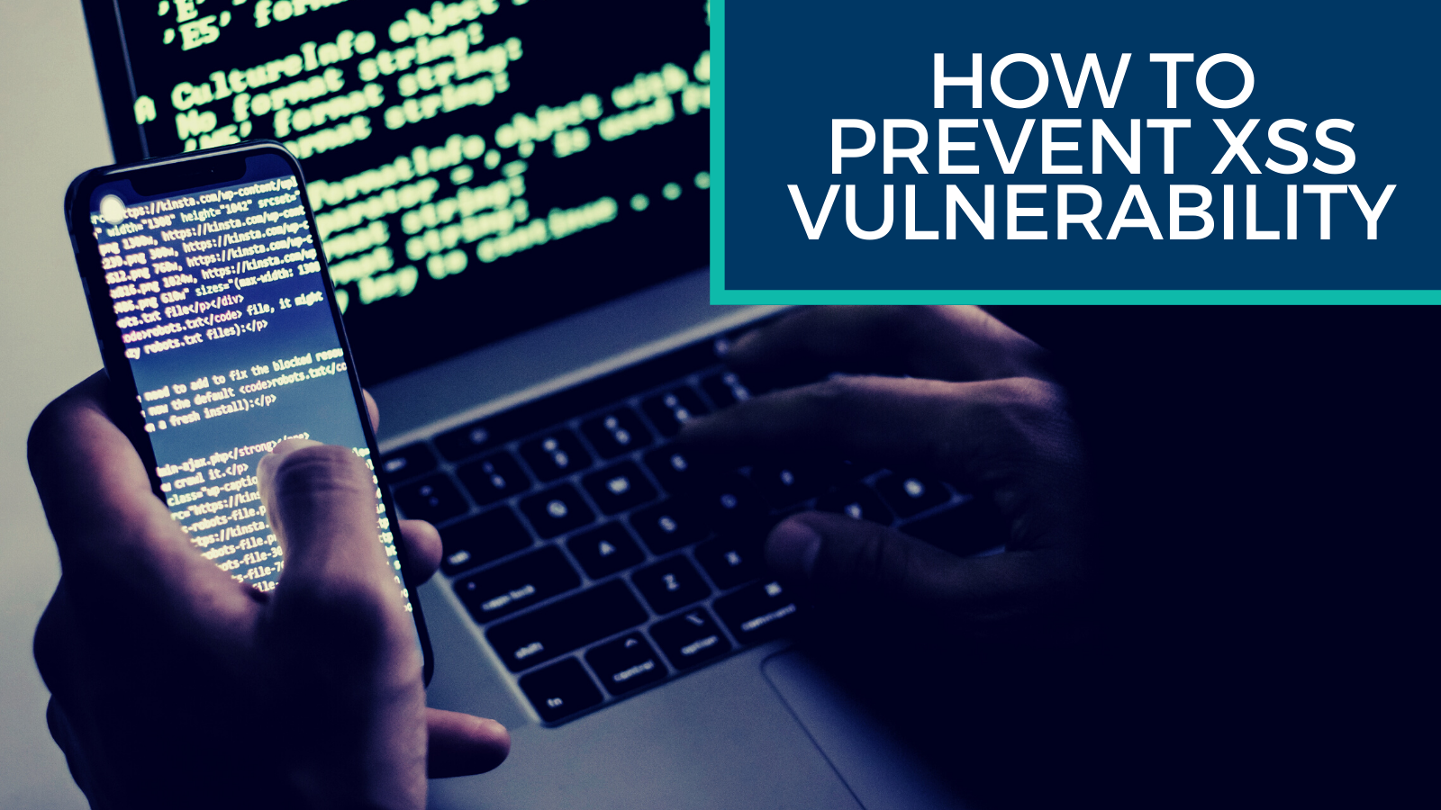 How to Prevent XSS Vulnerability