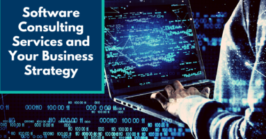 software consulting services